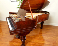 The Piano Store 11/2013